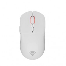 Zircon XIII Custom Wireless 